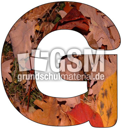 Herbstbuchstabe-G.jpg